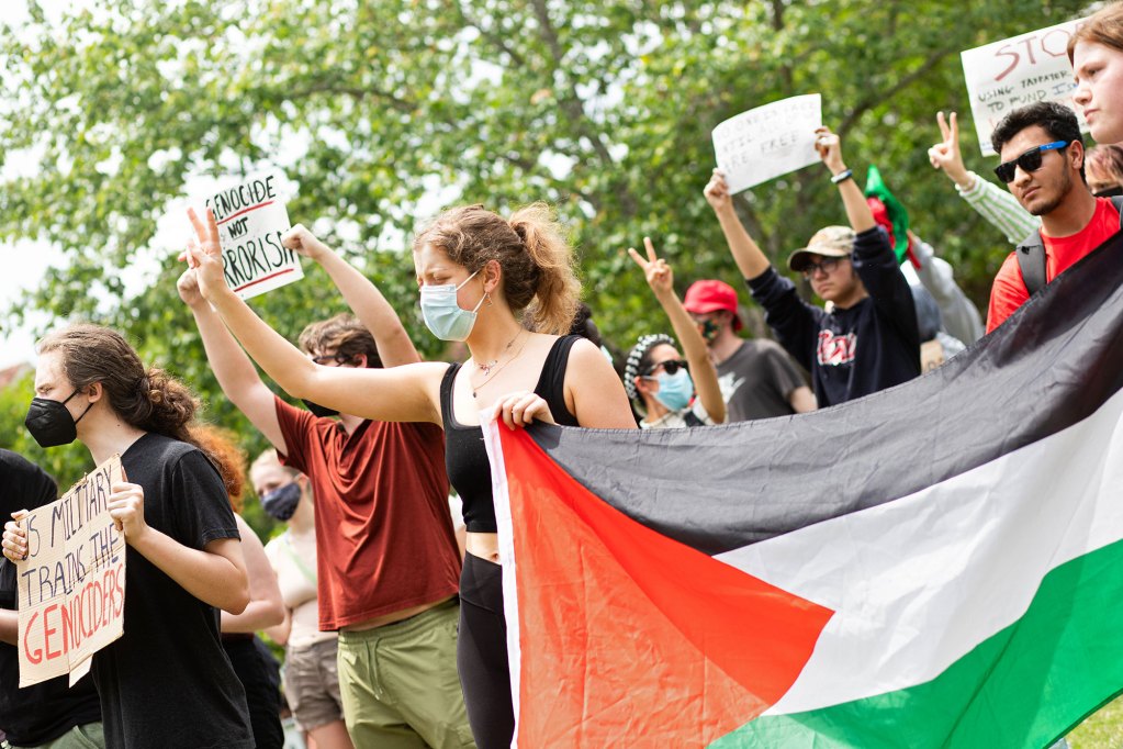 pro palestine protesters hold up signs, a palestinian flag and peace signs with their fingers